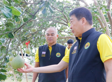 ลงพื้นที่ตรวจเยี่ยมและติดตามการดำเนินงานของศูนย์เรียนรู้การปลูกส้มโอทับทิมสยามบ้านแสงวิมานตำบลคลองน้อย อำเภอปากพนัง จังหวัดนครศรีธรรมราช โดยนายชวกิจจ์ สุวรรณคีรี รองผู้ว่าราชการจังหวัดนครศรีธรรมราช กล่าวต้อนรับพร้อมนายวิศิษฐ์ ศรีสุวรรณ์ อธิบดีกรมส่งเสริม ... พารามิเตอร์รูปภาพ 1
